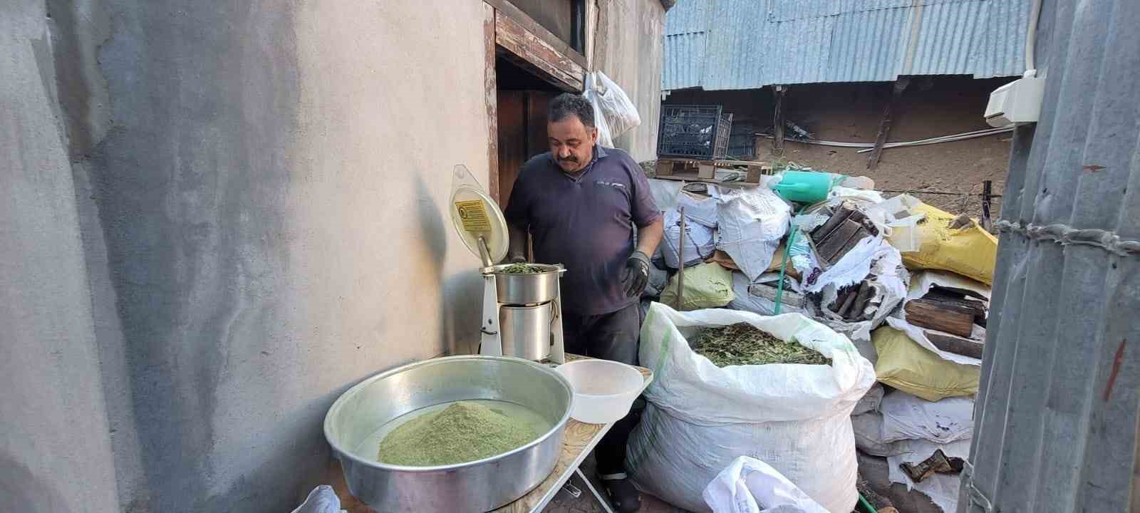 Zetrin Baharatı: Kemaliye'nin Doğal Lezzeti Yeniden Keşfediliyor
