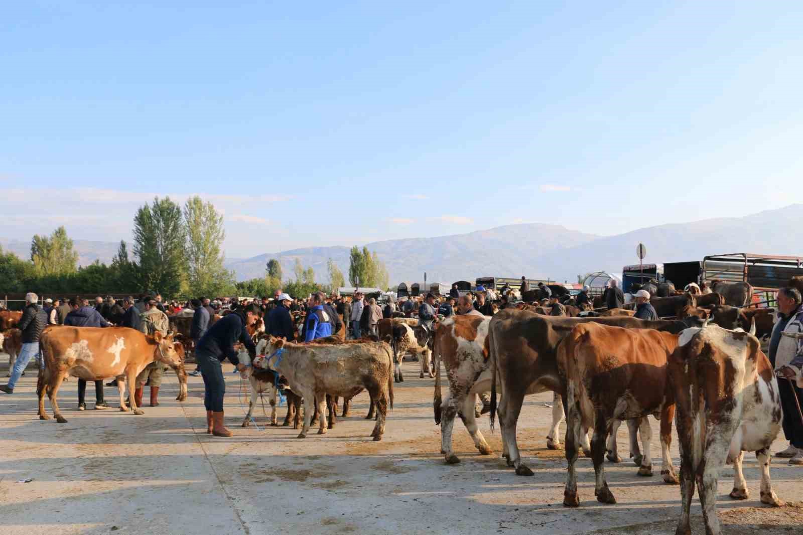 Erzincan'da Hayvan Yetiştiricilerine Şap Hastalığı Uyarısı