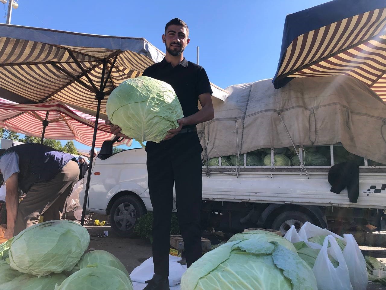 Erzincan'da Kışın Vazgeçilmezi: Taze Lahanalar Tezgahlarda