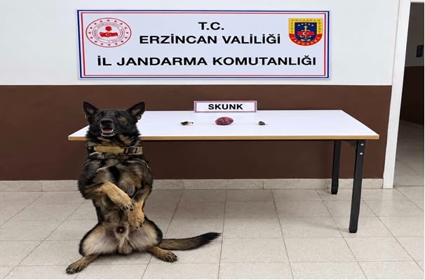Erzincan'da Uyuşturucu Operasyonları: Skunk ve Bonzai Ele Geçirildi