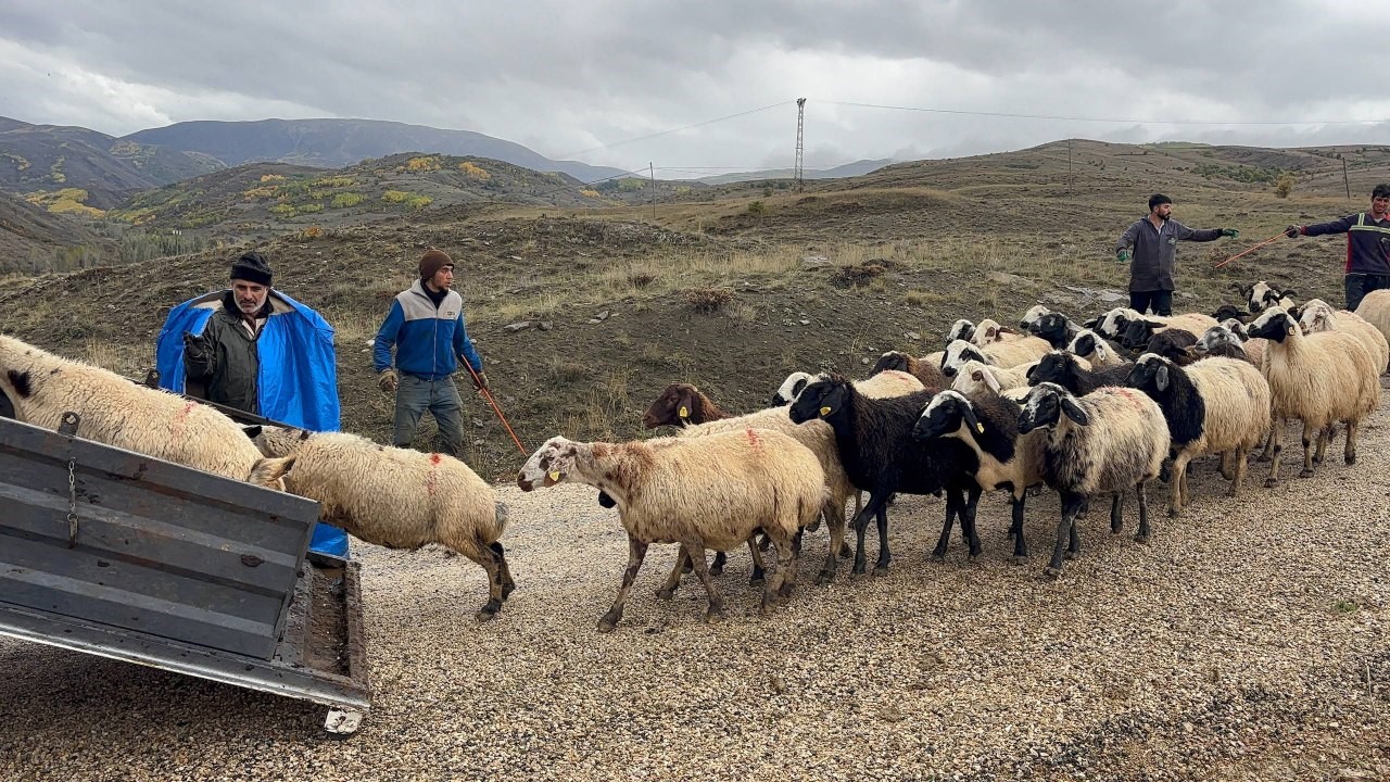Erzincan'da Yayla Sezonu Bitti, Dönüş Zamanı Geldi