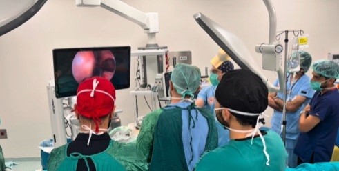Rinoloji Sempozyumu: Cerrahi Yaklaşımlar Erzincan’da Tartışıldı