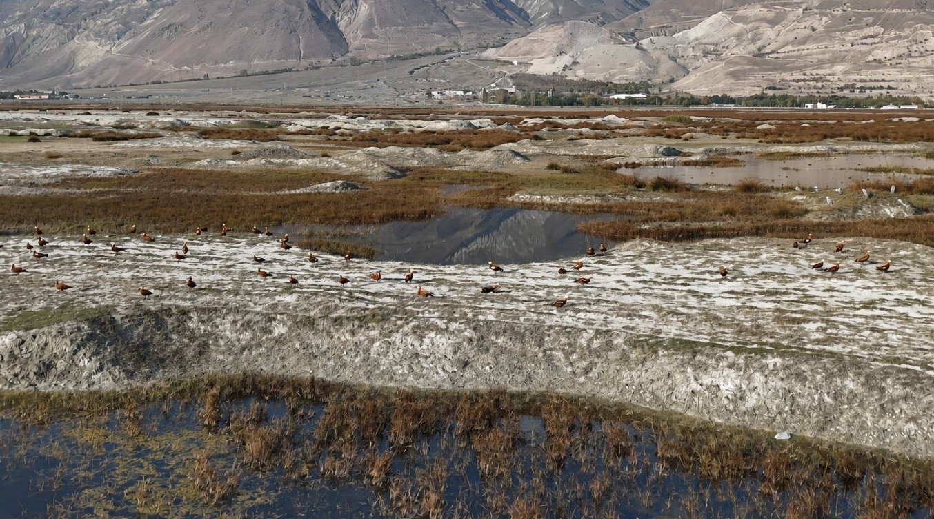 Kuş Cenneti'nde Göç Öncesi Son Günler