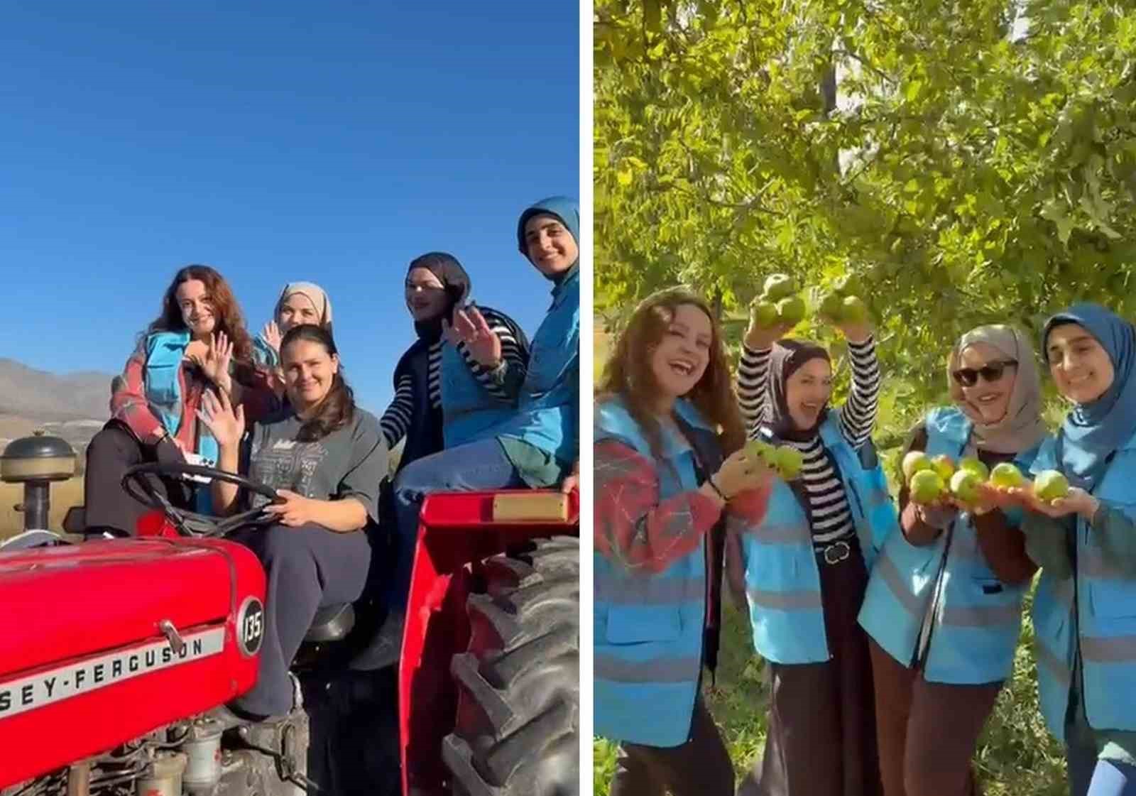 Erzincanlı Öğrenciler Üzümlü'de Meyve Hasadı Deneyimi Yaşadı