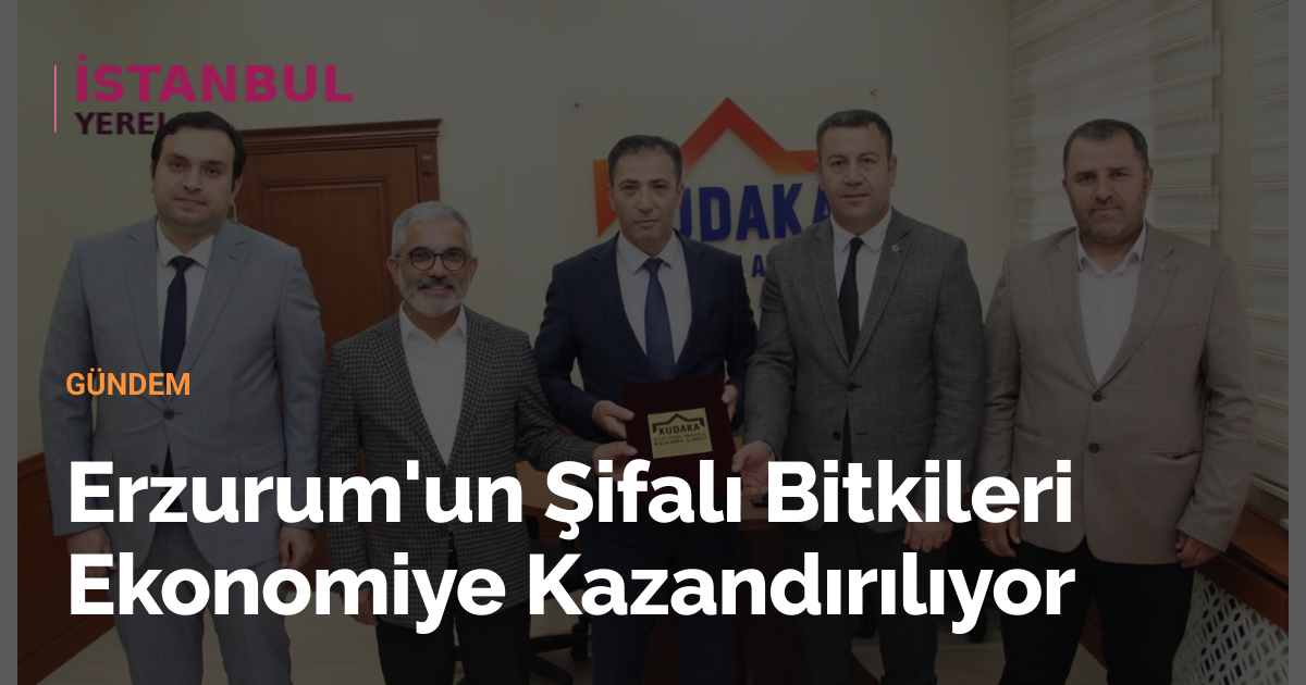 Erzurum'un Şifalı Bitkileri Ekonomiye Kazandırılıyor